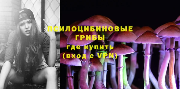 ALPHA-PVP Новодвинск