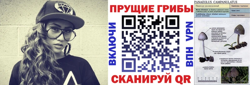 Псилоцибиновые грибы мухоморы  наркота  shop как зайти  Сысерть 